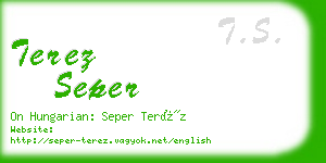 terez seper business card